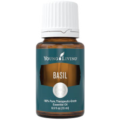 Basil Essential Oil (15ml)