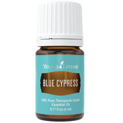 Blue Cypress Essential Oil (5 ml)