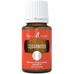 Cedarwood Essential Oil (15ml)