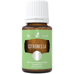 Citronella Essential Oil (15ml)
