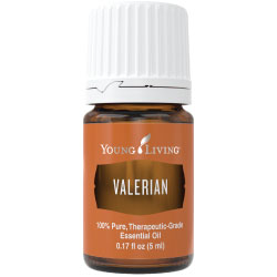 Valerian Essential Oil